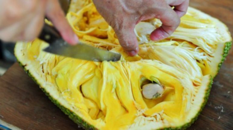 Esta Súper Fruta Tiene El Sabor De 7 Variedades Que Incluyen El Melón