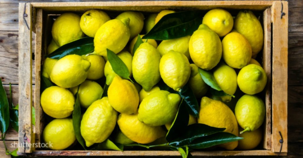 Con Este Truco Podrás Mantener Los Limones Frescos Por Más Tiempo