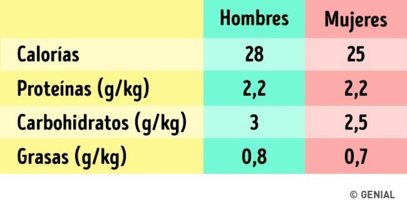 Nutricionista Indica La Frecuencia Con La Que Debemos Ingerir Alimentos ...