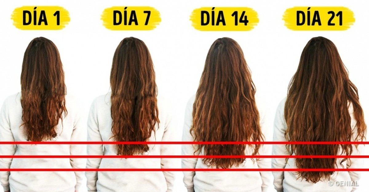 7 Alimentos Que Aceleran El Crecimiento Del Cabello | delicias.tv blog